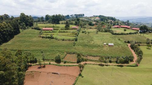 an aerial view of a field with trees and houses at Lake bunyonyi view lodge in Kabale