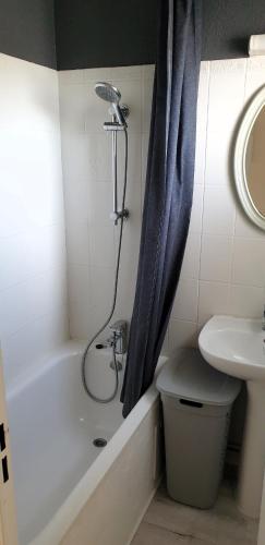 une salle de bain avec une douche, des toilettes et un lavabo dans l'établissement Appartement T2 au port, Clim, Fibre, Terrasse, à Saint-Cyprien