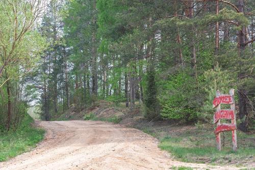a dirt road with a sign next to a forest at Domek w Zakątku Andrzeje Śniczany 18 in Sidra