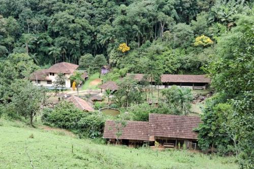 a group of houses on a hill with trees at Sítio Som das Águas in Benedito Novo