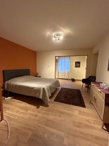 a bedroom with a bed and a desk and a window at Bel Appartement en RDC proche Strasbourg Nice apartment very near Strasbourg in Strasbourg