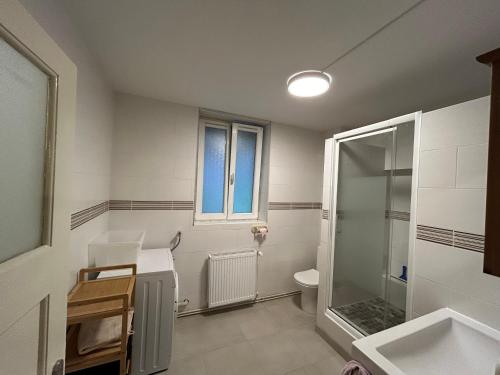 a bathroom with a shower and a toilet and a sink at Bel Appartement en RDC proche Strasbourg Nice apartment very near Strasbourg in Strasbourg