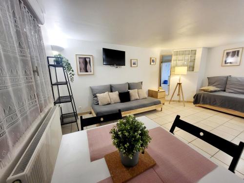 - un salon avec un canapé et une table dans l'établissement J1 St-Quentin-en -Yvelines Studio en Rez de jardin avec parking, à Trappes