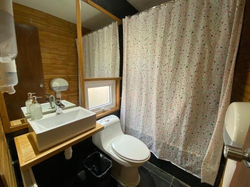 a bathroom with a sink and a toilet and a shower curtain at ALMER HOSTAL in Punta Arenas