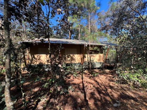 a small shack in the middle of the woods at Rodavento Boutique Hotel & Spa in Valle de Bravo