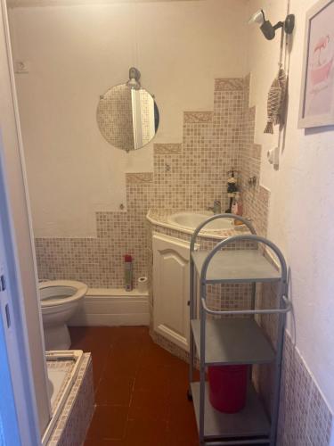 une petite salle de bain avec toilettes et lavabo dans l'établissement Studio Climatisé pour 2 pers - Salins de Giraud, à Salin-de-Giraud