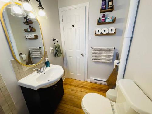 a bathroom with a sink and a mirror and a toilet at Sunrise and Bayview with Kayaks & Bikes in Meaford