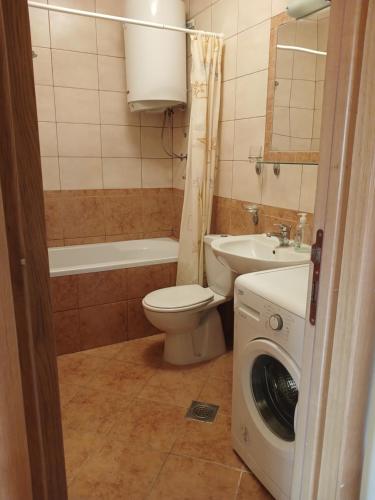 a bathroom with a toilet a sink and a washing machine at Apartman sa bazenom in Radovići