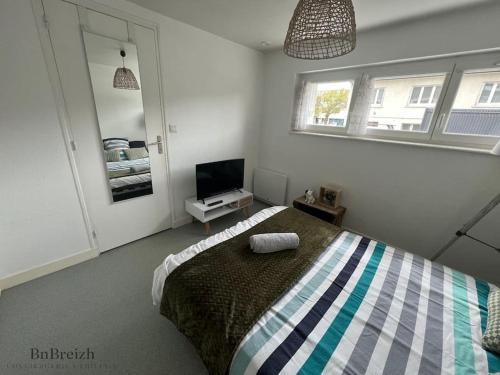 ein Schlafzimmer mit einem Bett und einem TV in der Unterkunft Appart Cosy Duo in Cesson-Sévigné