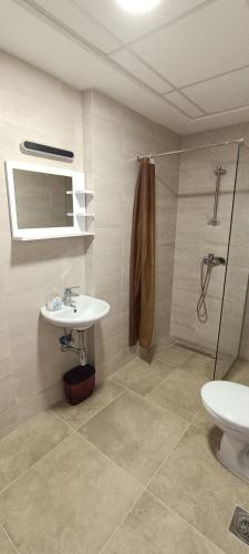 a bathroom with a sink and a shower at West Gate Apartments Ohrid in Ohrid