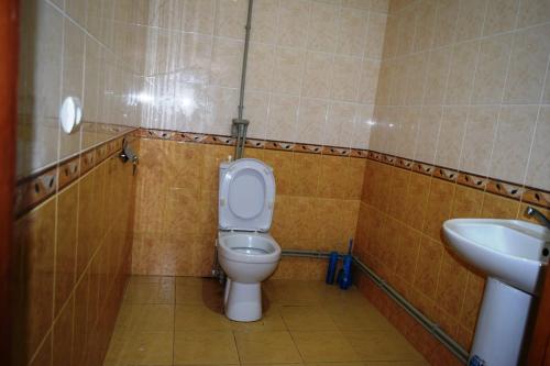 a bathroom with a toilet and a sink at Вила Eco Garden in Gyumri