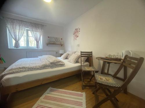 a bedroom with a bed and a desk and a window at Pension Soutěsky in Hřensko