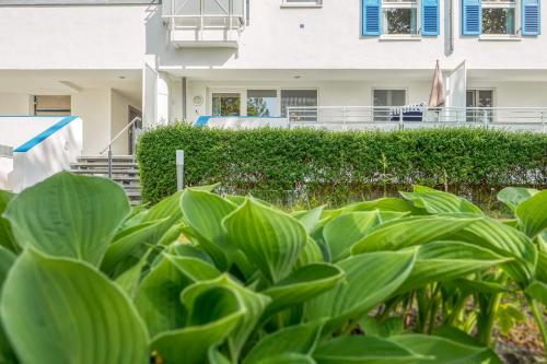 a house with green plants in front of it at ZingstUrlauber in Zingst