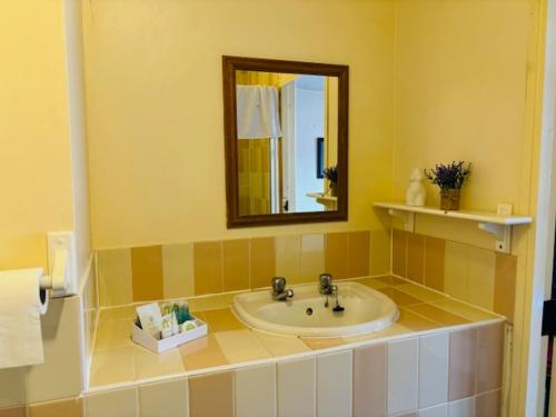 uma casa de banho com um lavatório e um espelho em FARRIERS ARMS em Worcester