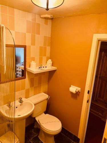 a bathroom with a toilet and a sink at FARRIERS ARMS in Worcester