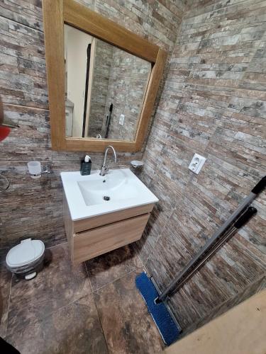 a bathroom with a sink and a mirror at Kas di Nort in Kralendijk