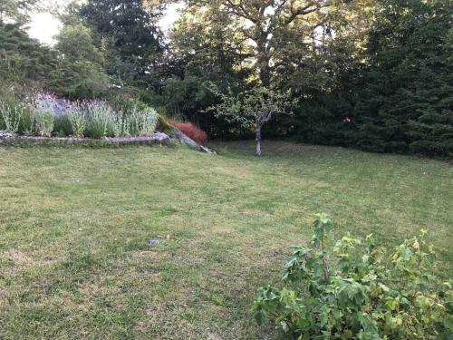 a grassy yard with a tree and some plants at Litet modernt fristående hus i Skärgården på Värmdö, Stockholm in Värmdö
