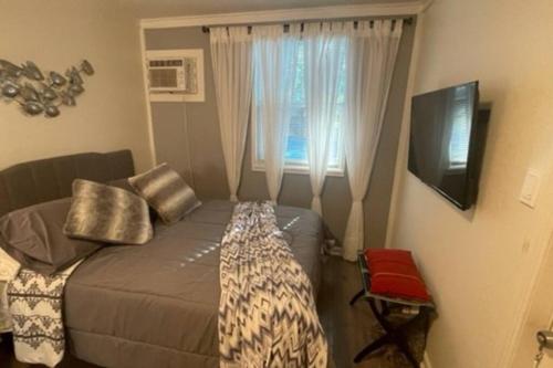 a bedroom with a couch and a television and a window at Lovely Studio Apartment with Kitchenette. in Tampa