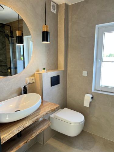 a bathroom with a sink and a toilet and a mirror at Casa Kashubia in Brzeźno Szlacheckie