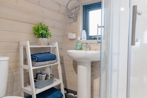 a bathroom with a white sink and a toilet at Coolaness Glamping in Irvinestown