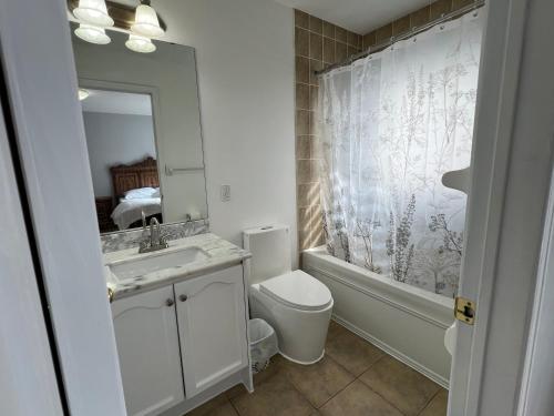 a bathroom with a sink and a toilet and a mirror at House In Scarborough 20 Minutes to Downtown in Toronto