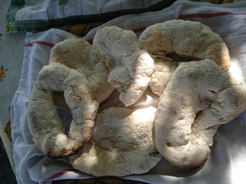 a group of white breads laying on a blanket at Dedina Luka in Valjevo