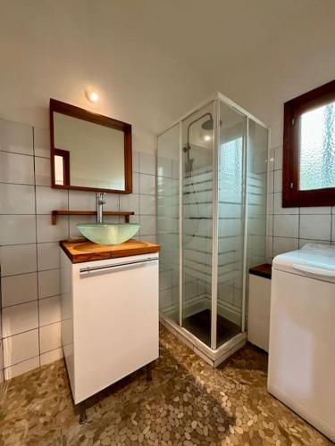 une salle de bain avec un lavabo et une douche dans l'établissement Appartement les pieds dans l'eau, à Calcatoggio