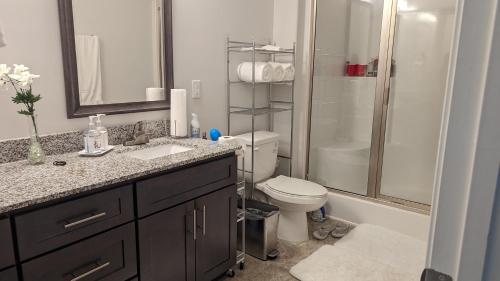 a bathroom with a toilet and a sink and a shower at CoZy One Bedroom Apartment Exquisite in Raleigh
