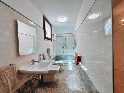 a bathroom with a sink and a shower and a toilet at Finestra su Villalago in Villalago