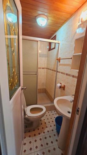 a bathroom with a toilet and a sink at Bastimentos Hill Guest House in Bocas Town