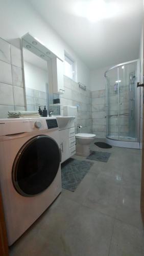 La salle de bains est pourvue d'une douche, d'un lavabo et de toilettes. dans l'établissement Holiday House Križanović, 