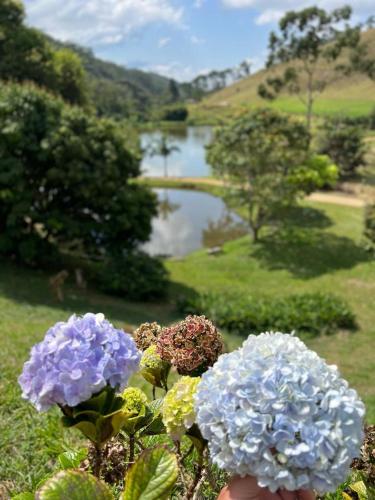 Landskap semula jadi dekat dengan the country house