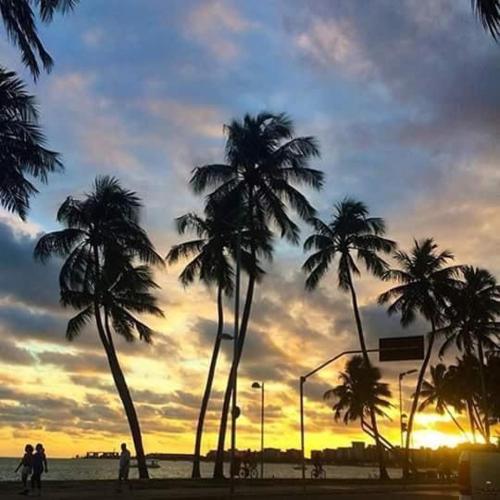 Novidade na Booking.comPraia Studio à 100m da praia em Ponta Verde, Maceió Menor preço em Novidade na Booking.comPraia Studio à 100m da praia em Ponta Verde, Maceió