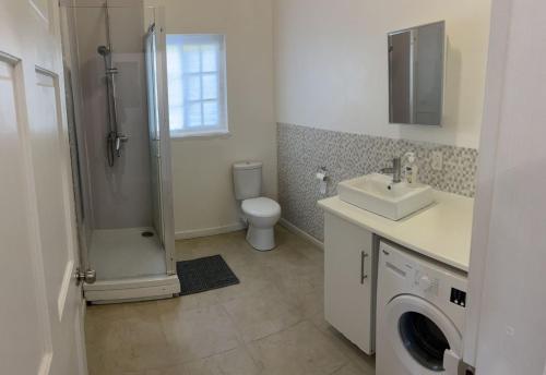 a bathroom with a toilet and a sink and a washing machine at Large Modern Space in Cedar Grove