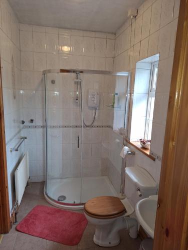 y baño con ducha, aseo y lavamanos. en Welcome to Tunmobi Villa, its home away from home., en Ballyjamesduff