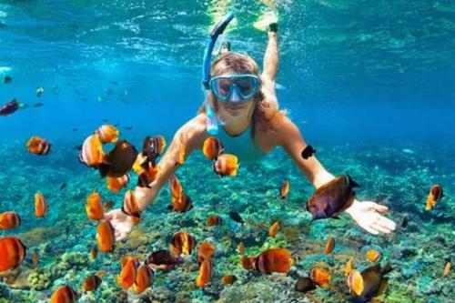 a woman in the water with a group of fish at Casa para 8 personas in Zihuatanejo