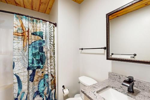 y baño con cortina de ducha y lavamanos. en Piney Hollow - Unit B, en Hendersonville