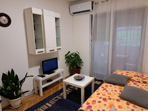 a bedroom with a bed and a tv and a table at Apartman Mirka 1 in Karaburma