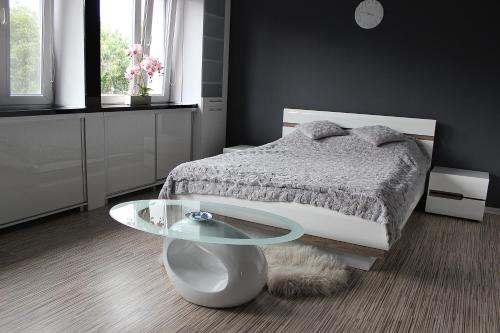 Fotografie z fotogalerie ubytování Black & White Komfortowe Apartamenty 2 km od Centrum v destinaci Ratiboř