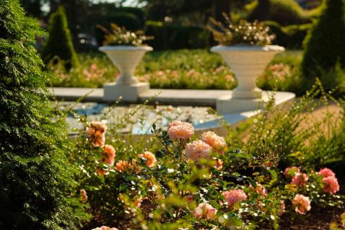 two white vases in a garden with pink flowers at Hotel Kempinski Palace Portorož in Portorož