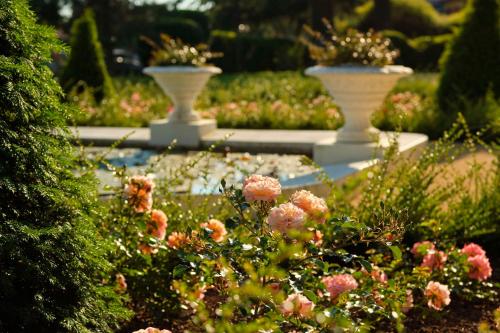 due vasi bianchi in un giardino con fiori rosa di Hotel Kempinski Palace Portorož a Portoroz