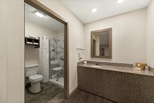a bathroom with a toilet and a sink and a mirror at Red Roof Inn Nacogdoches in Nacogdoches