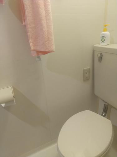 a bathroom with a white toilet and a towel at リリープロスパー泉 in Aoichō
