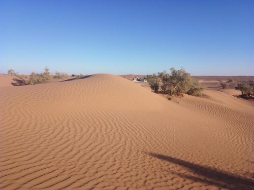 a sand dune in the middle of a desert at M'Hamid Budget Lodge in Mhamid