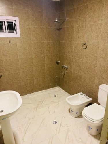 y baño con lavabo, aseo y ducha. en departamentos Santino en Tinogasta