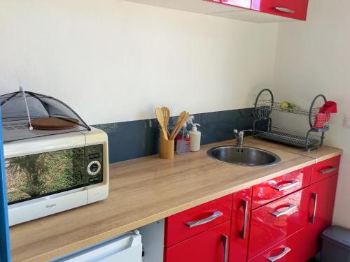 Kuchyň nebo kuchyňský kout v ubytování Tropi Kay' Location - Bungalow avec jacuzzi