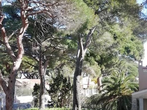 Charmant Studio à Hyères, Proche Plage et Port, Parking et WIFI Inclus - FR-1-335-200