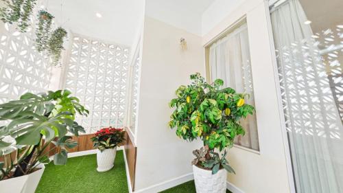 a room with potted plants and a window at Sao Vang Hotel in Bao Loc