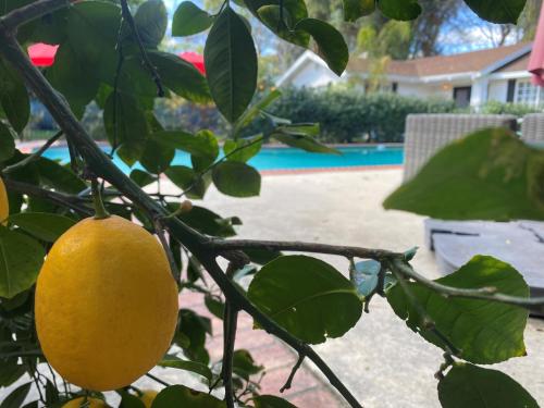 Guest house with private entry and large poolの敷地内または近くにあるプール