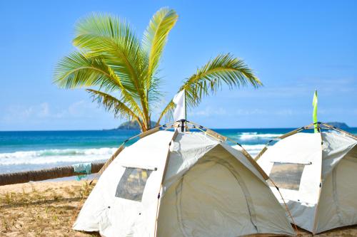 a tent on the beach next to a palm tree at EL NIDO WATERSPORTS AND ADVENTURES BEACH CAMP in Duli